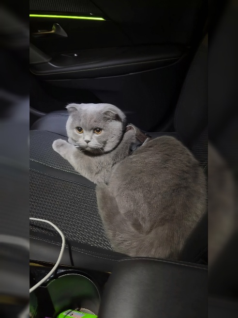 Ближайшая станция Бабушкинская! Котики, если вам нужна профессиональная девушка, то вам не сюда, я только учусь)

Кто договорился и не пр...