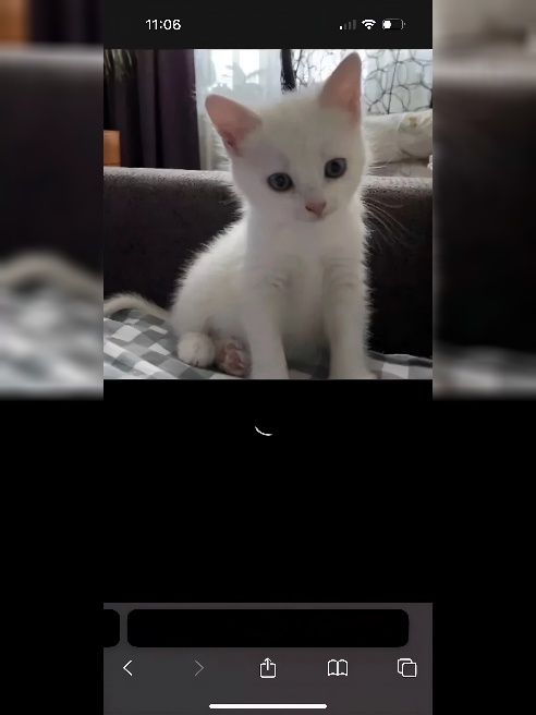Привет,дорогой ❤

Приглашаю тебя в гости провести волшебно время ❤🔥
			
				var txtTop = document.getElementById('txt_top'),
				txtTopI...