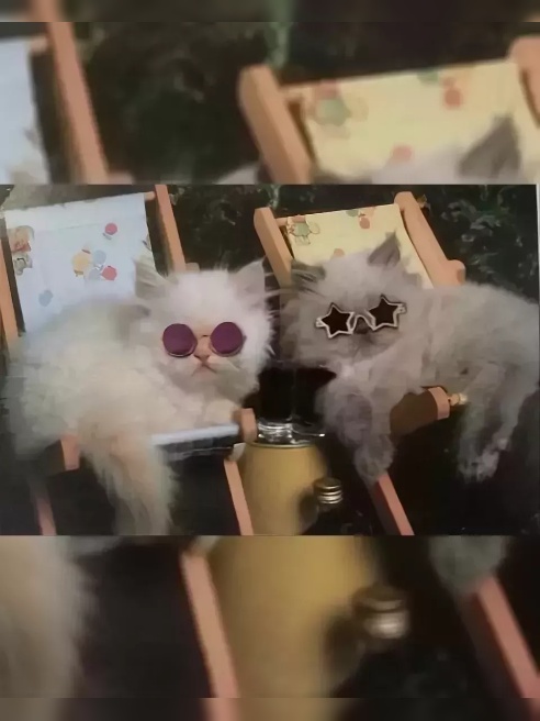 💞 Когда есть ты + я, мы совершим незабываемое, космическое путешествие в миры наших оргазмов, где я щедро подарю тебе чувства, каких ране...