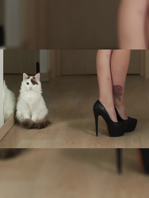 🔥Звезда PlayBoy🦋
💝Скорее звони/пиши, нам не будет скучно 🍌