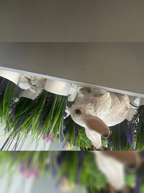 Ххххх